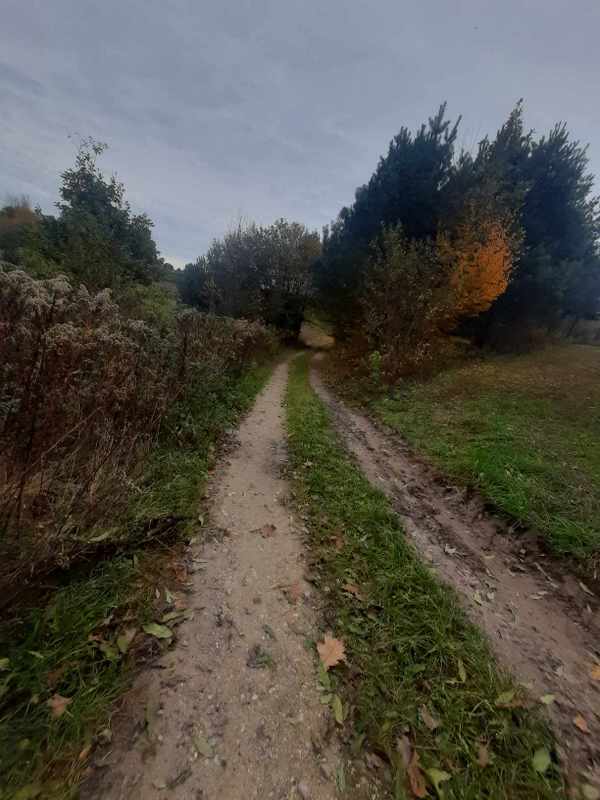 Zdjęcia wykonane przez uczniów klasy 7 sprzętem fotograficznym zakupionym w ramach "Laboratoriów Przyszłości".