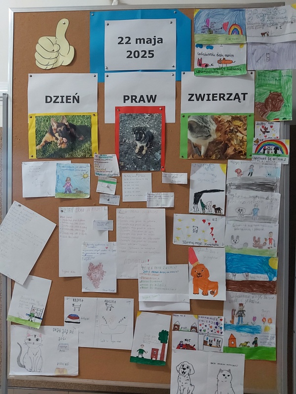 Dzień Praw Zwierząt w naszej szkole