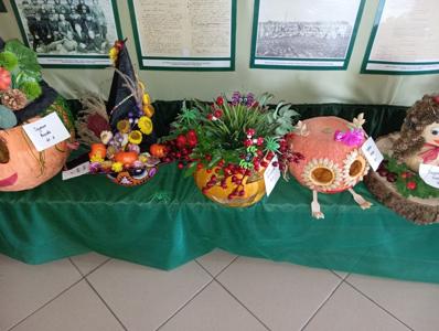 Dynie konkursowe - wystawa