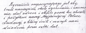 Zdjęcie kroniki szkoły pisanej odręcznie