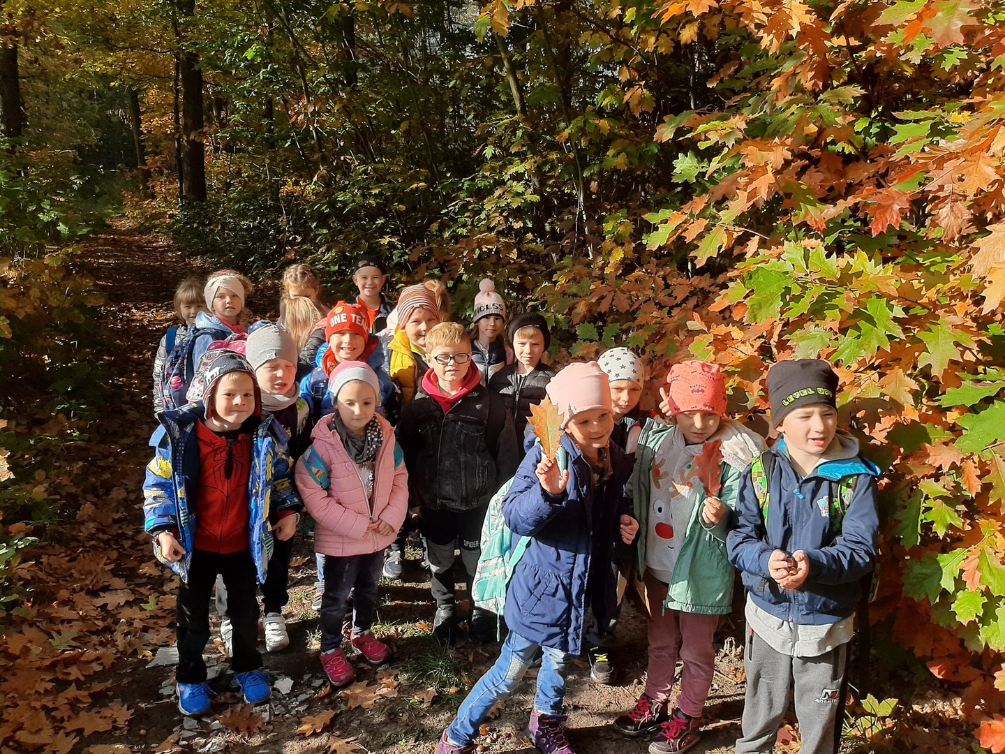 Tutaj powinien być opis