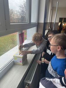 whatsapp_image_20251120_at_153333_1.jpeg[small]