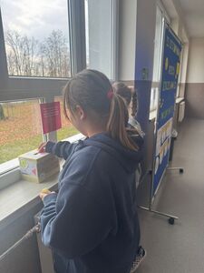 whatsapp_image_20251120_at_153333_2.jpeg[small]