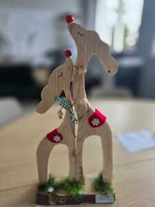 whatsapp_image_20251209_at_212426.jpeg[small]