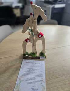 whatsapp_image_20251209_at_212556.jpeg[small]