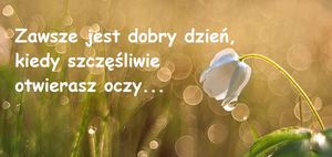 pozytywniejpg [300x142]