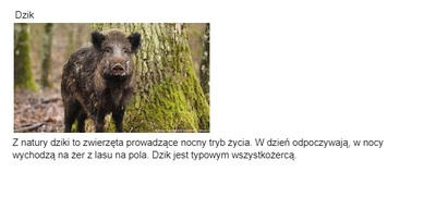 dzikjpg [400x203]