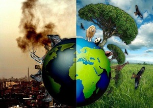 ecocide [300x212]
