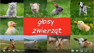 głosy zwierząt [300x169]