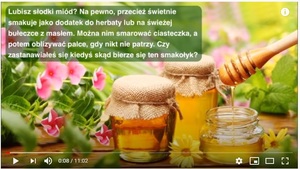 jak pszczóły robią miód [300x169]