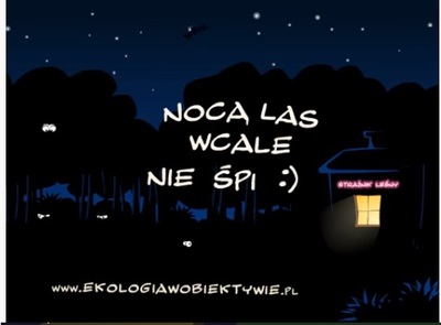 las_nocnyjpg [400x295]