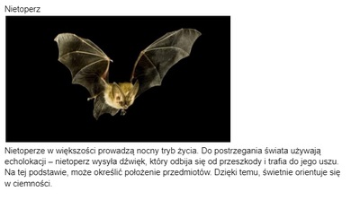 nietoperzjpg [400x223]