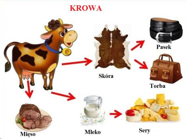 krowa plamsza [640x470]