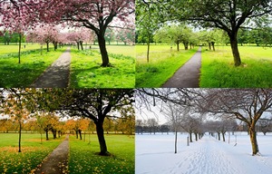 four seasons [300x192]