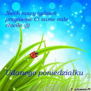 udanego poniedziałku [300x300]