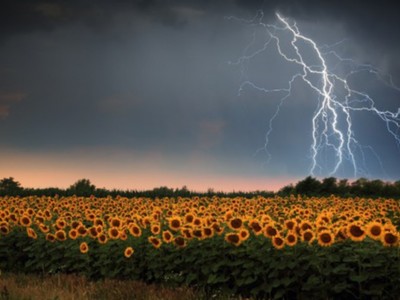 burzajpg [400x300]