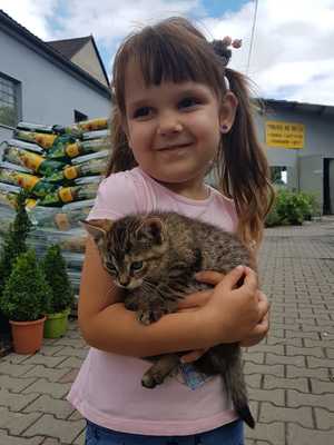 katia_i_kotjpeg [300x400]