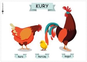 kury rodzina [300x213]