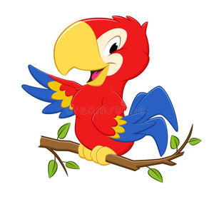 papuga [300x300]