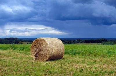 sianokosy_bela_siano_ceny_rolnicze_pl_jpg [400x261]