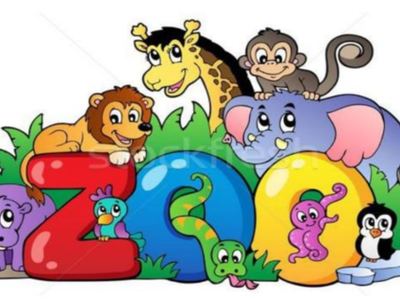 zoo