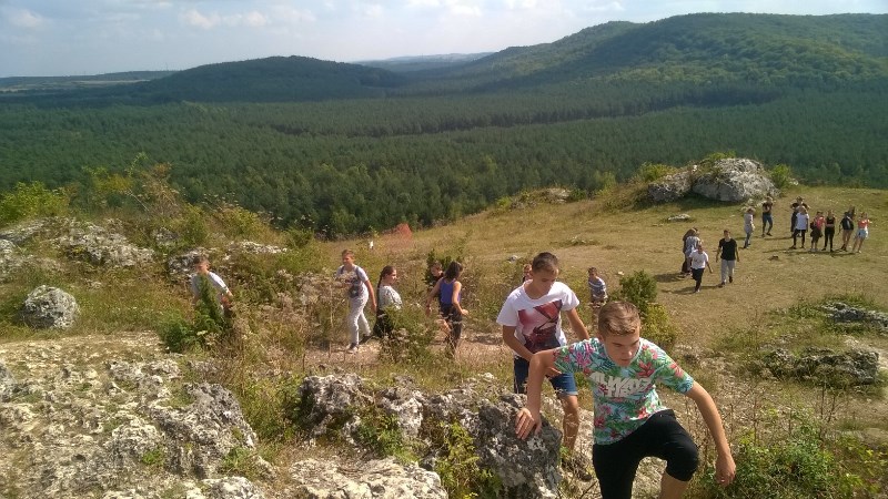 Tutaj powinien być opis obrazka