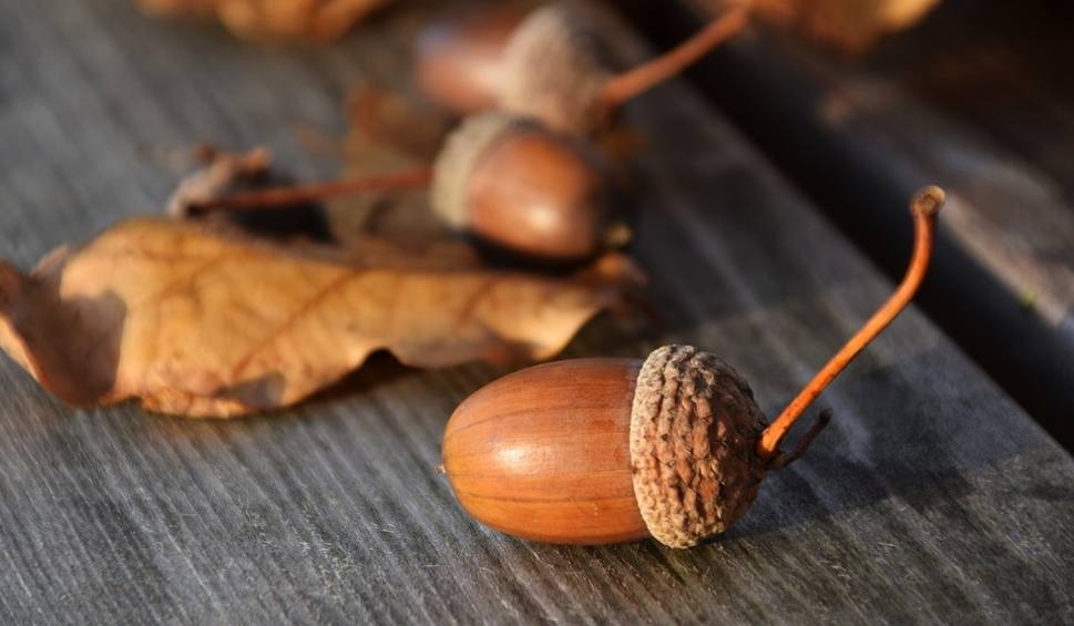 Tutaj powinien być opis obrazka