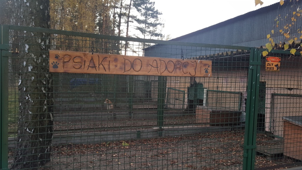 Tutaj powinien być opis obrazka