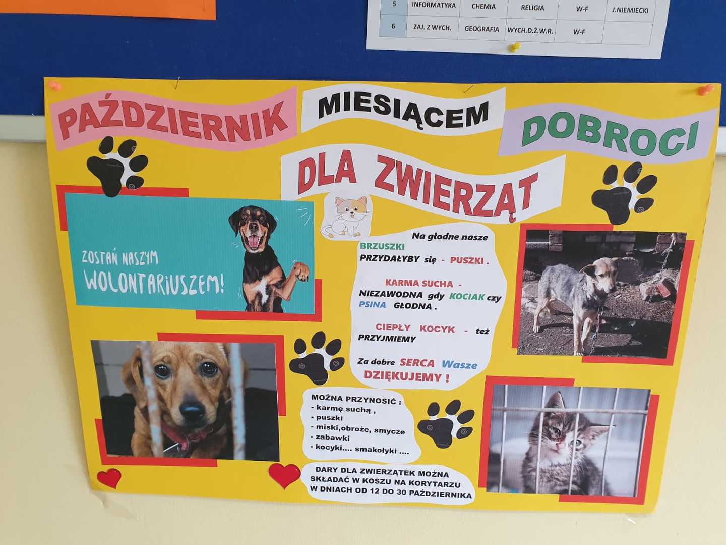 Tutaj powinien być opis obrazka