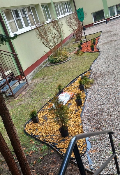 Zdjęcie