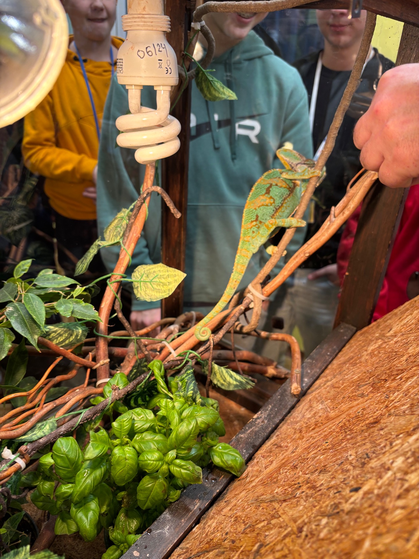 Tutaj powinien być opis