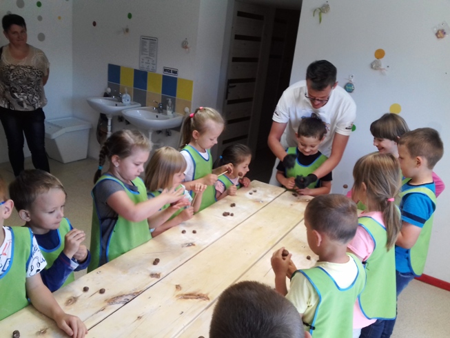 Tutaj powinien być opis