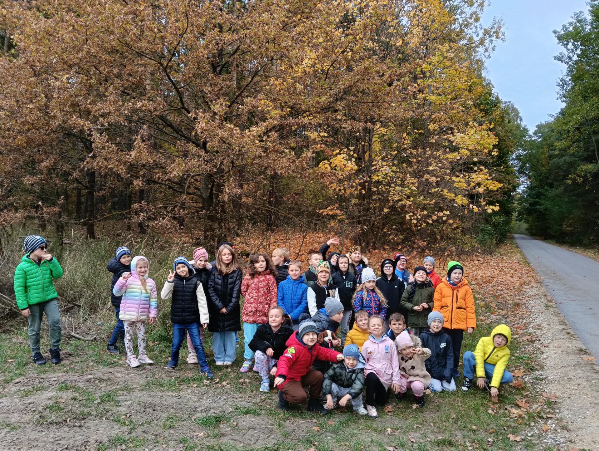 Tutaj powinien być opis