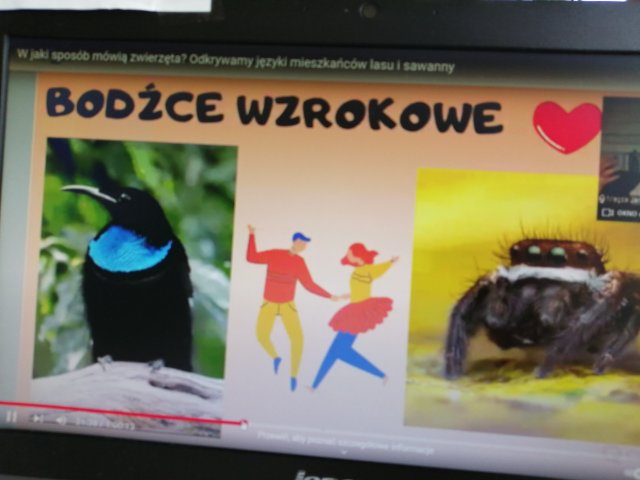 Tutaj powinien być opis