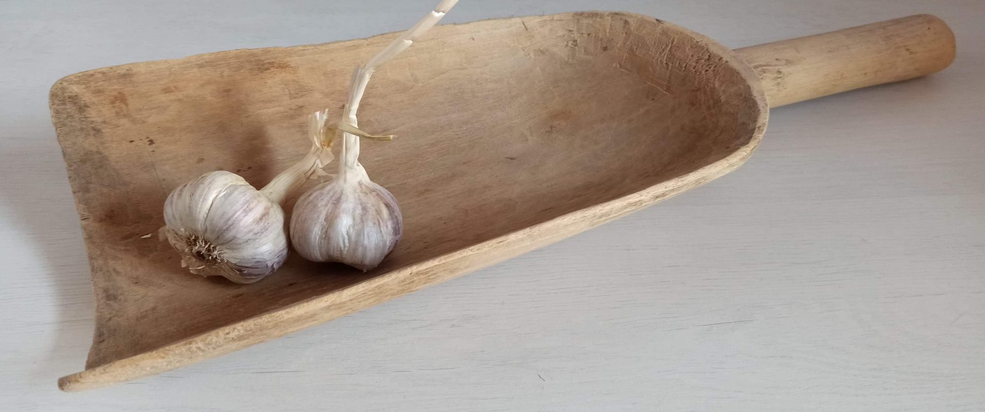 ręcznie wykonana szufla przeznaczona do nabierania zboża