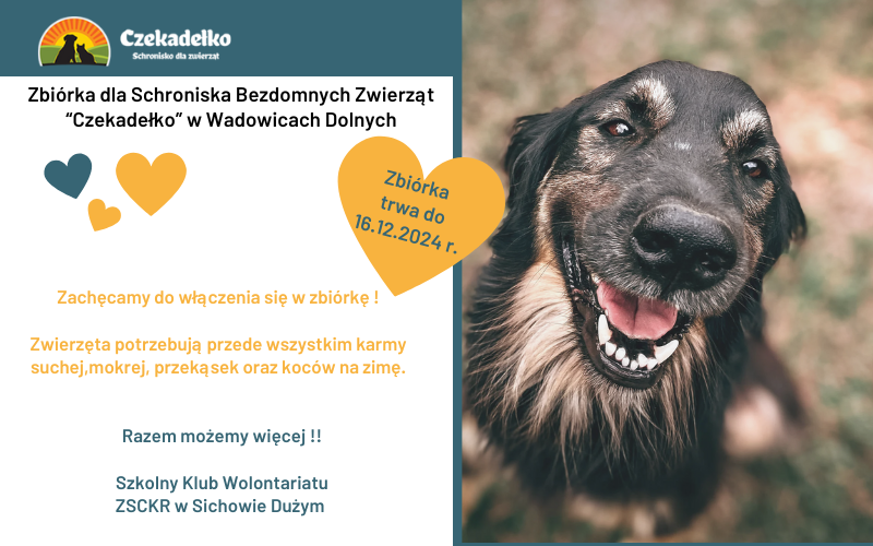 plakat zbiórka dla psów