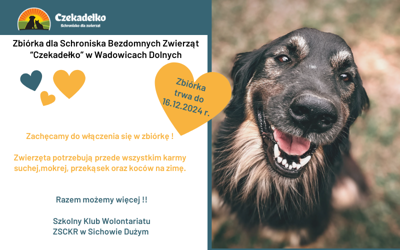 plakat zbiórka dla psów