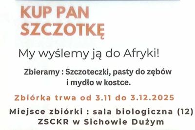 kup szczotkę