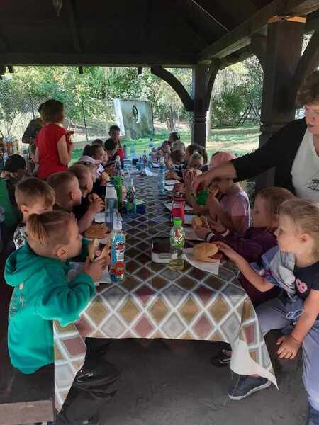 Zdjęcie