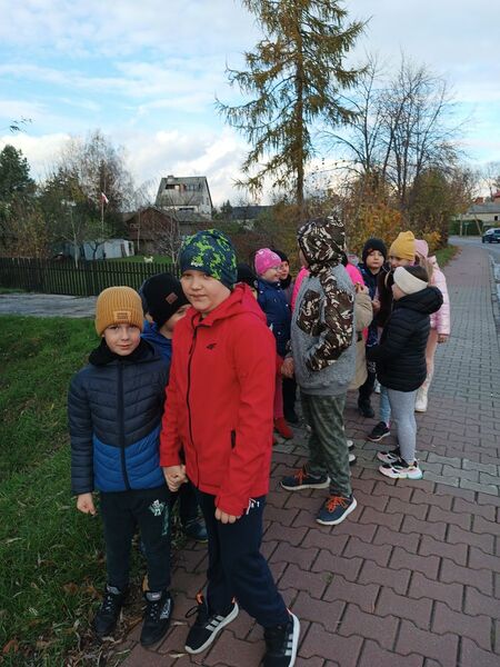 Zdjęcie