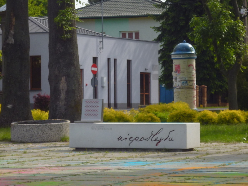 Zdjęcie