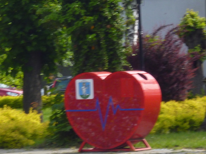 Zdjęcie