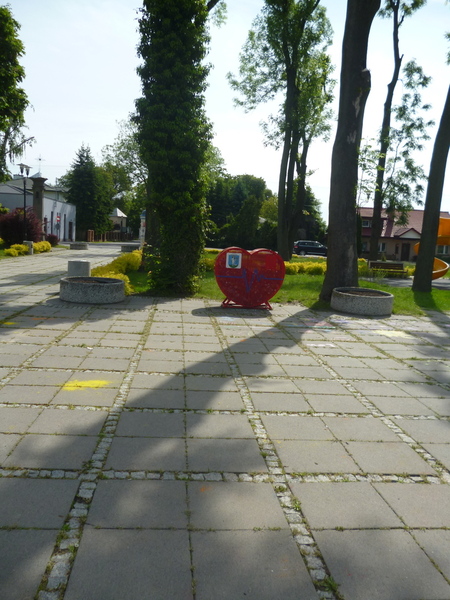Zdjęcie