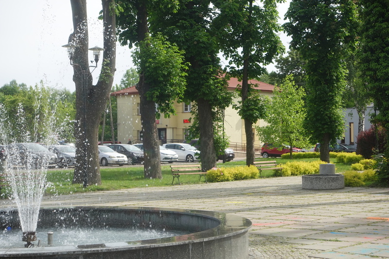 Zdjęcie