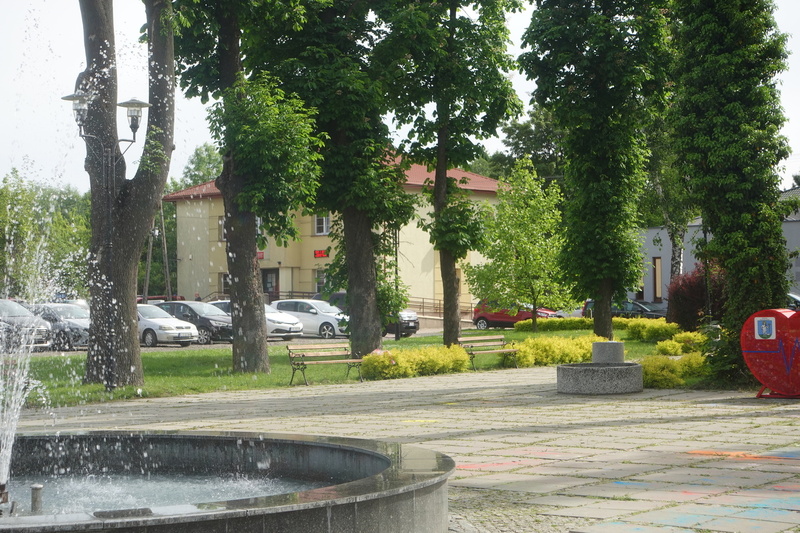 Zdjęcie