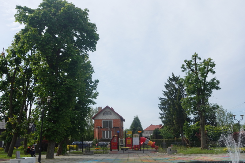 Zdjęcie