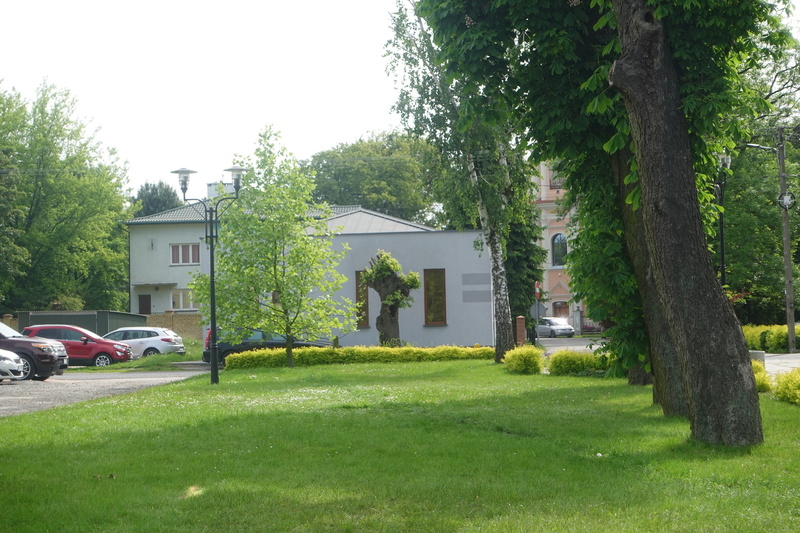 Zdjęcie