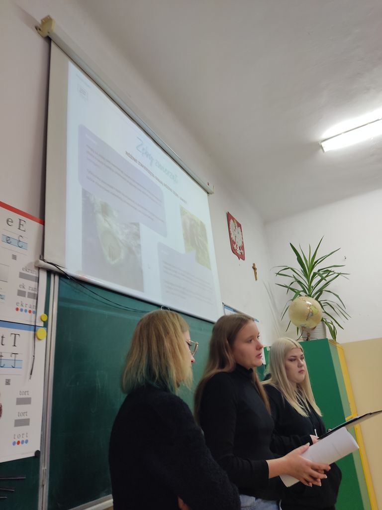 Tutaj powinien być opis