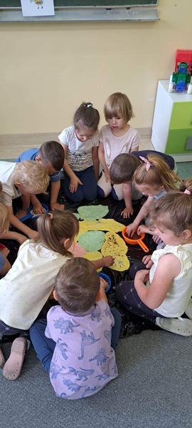 Zdjęcie