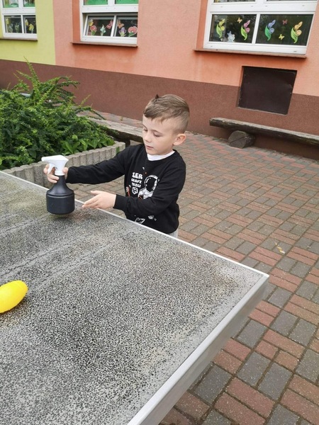 Zdjęcie